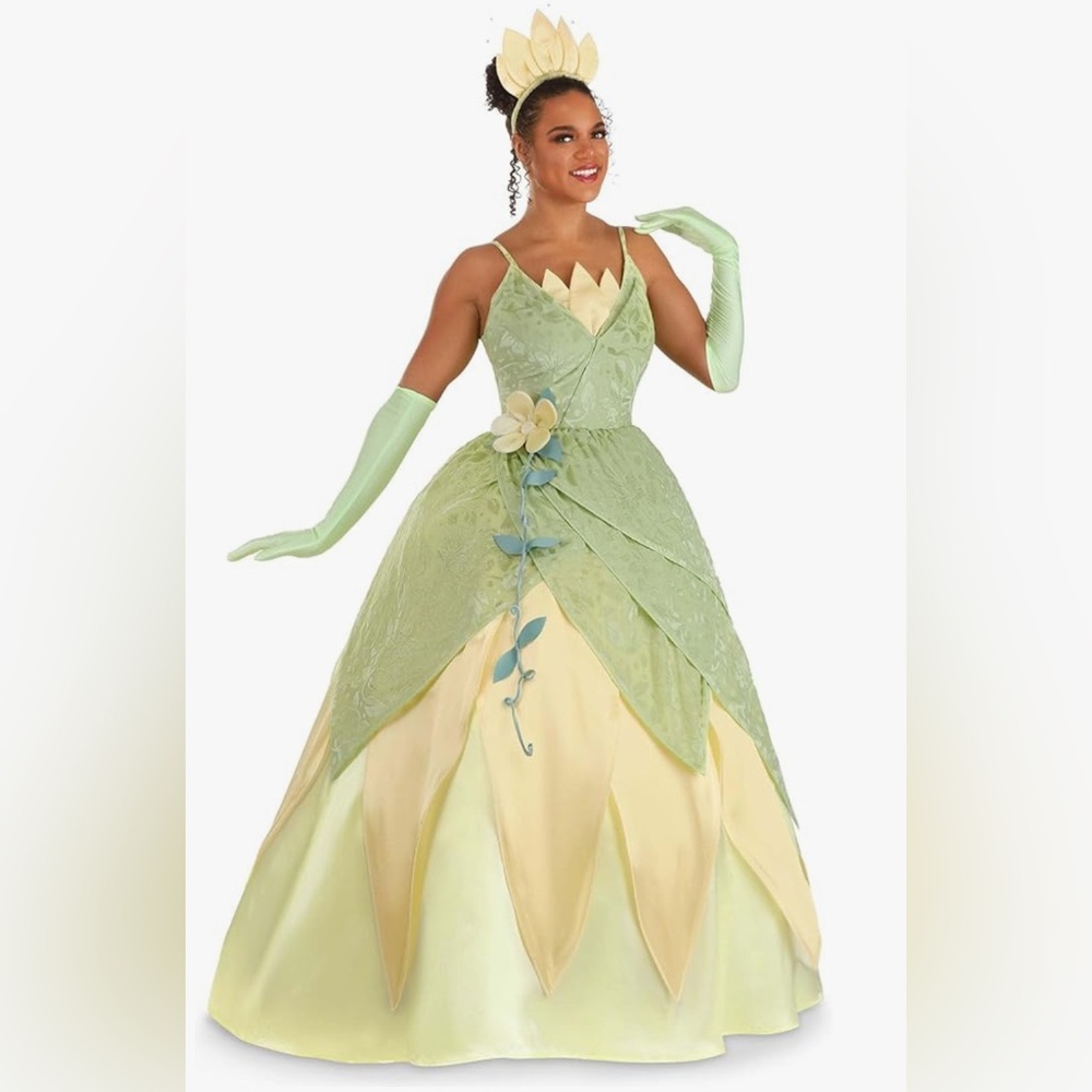 Disney Princess and the Frog Tiana Costume for Women.